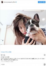 愛犬のアムさんと　※「川口春奈」インスタグラム