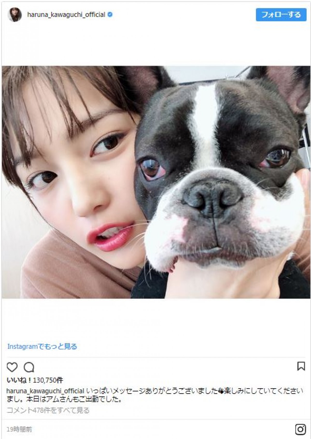 「奇抜」川口春奈、乱れ髪で愛犬の後ろから“ひょっこりはん”