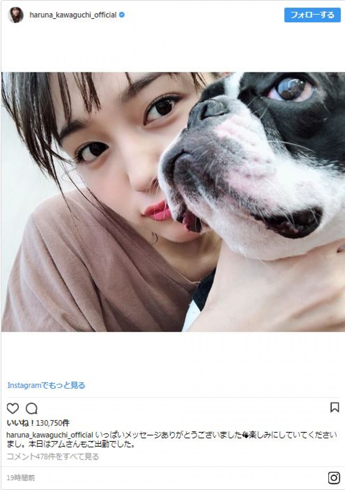 「奇抜」川口春奈、乱れ髪で愛犬の後ろから“ひょっこりはん”