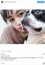 愛犬のアムさんと　※「川口春奈」インスタグラム