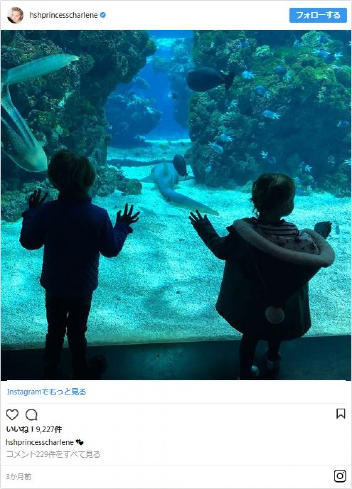 モナコ王室の3歳の双子がかわいすぎる　 グレース・ケリーの孫！