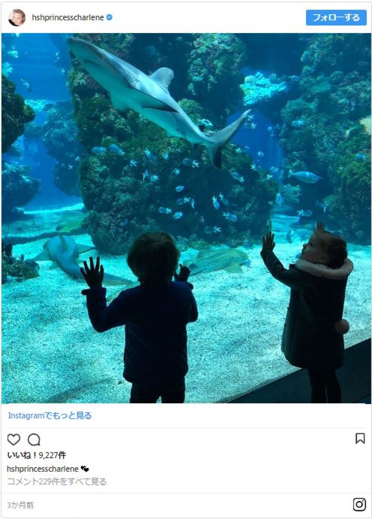 モナコ王室の3歳の双子がかわいすぎる　 グレース・ケリーの孫！