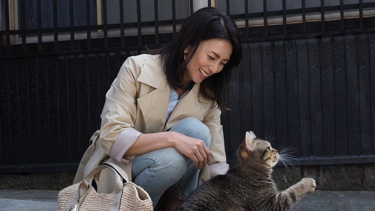 『旅猫リポート』新カット＆猫欲を満たす癒やし“猫映画”を紹介