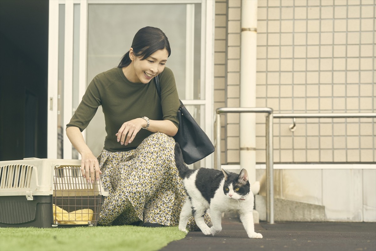 竹内結子、福士蒼汰と『旅猫リポート』で初共演　主人公を見守る叔母役