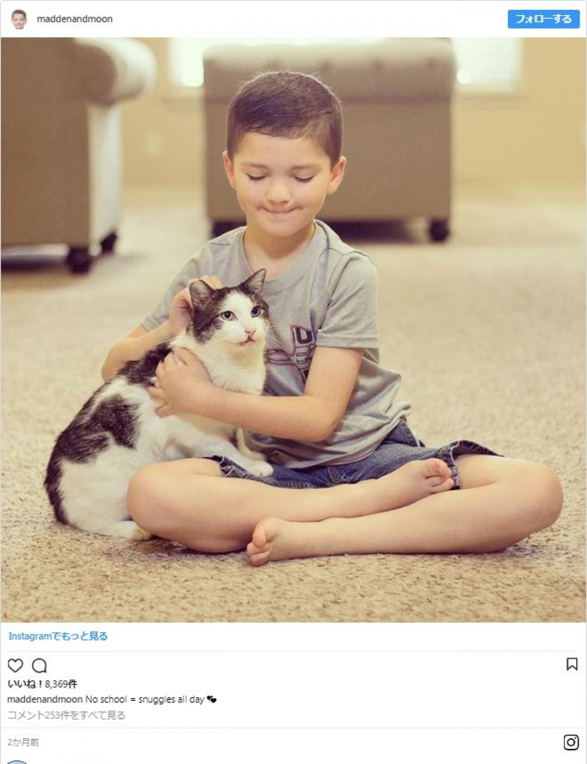 オッドアイの猫、おそろいの瞳を持つ少年と友達になる