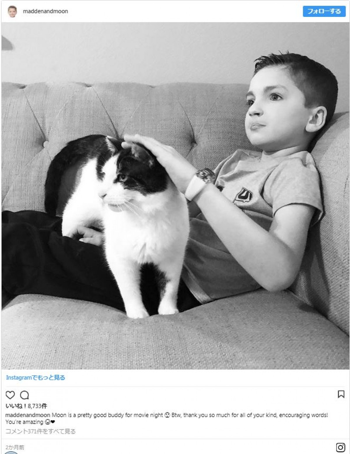 オッドアイの猫、おそろいの瞳を持つ少年と友達になる