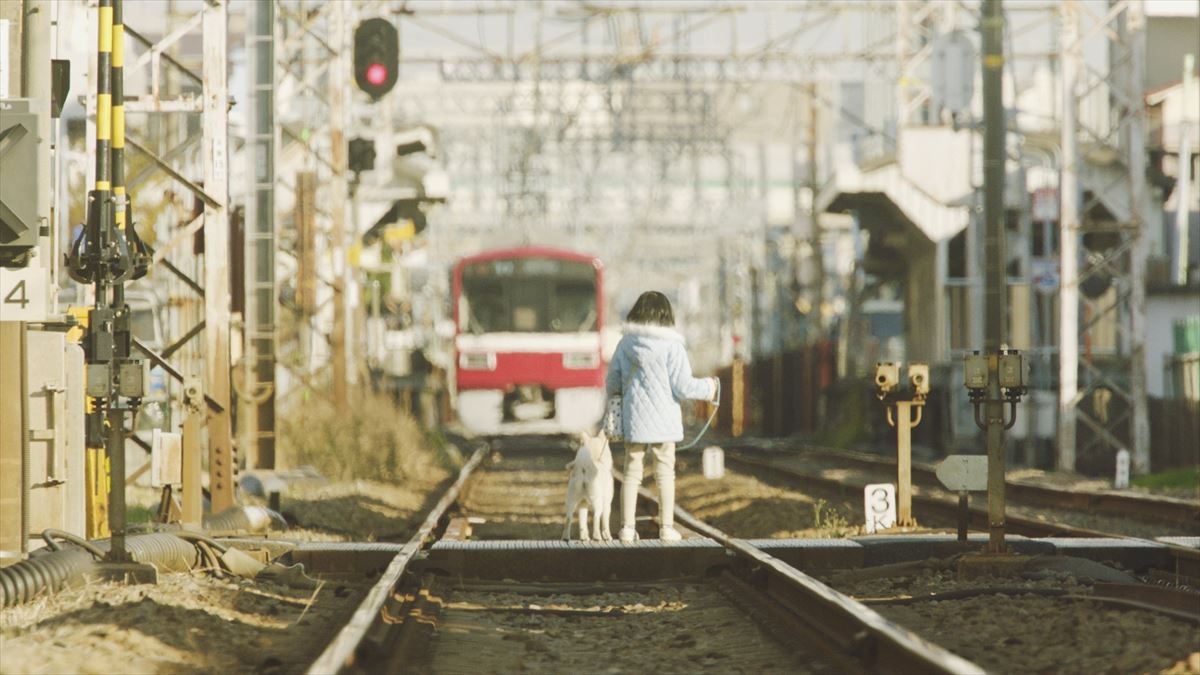 伊集院静『駅までの道を教えて』映画化　新海誠監督の娘が初主演