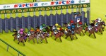 JRA（日本中央競馬会）×アニメ『ポプテピピック』、オリジナルWEBアニメ「ポプテピ記念」より
