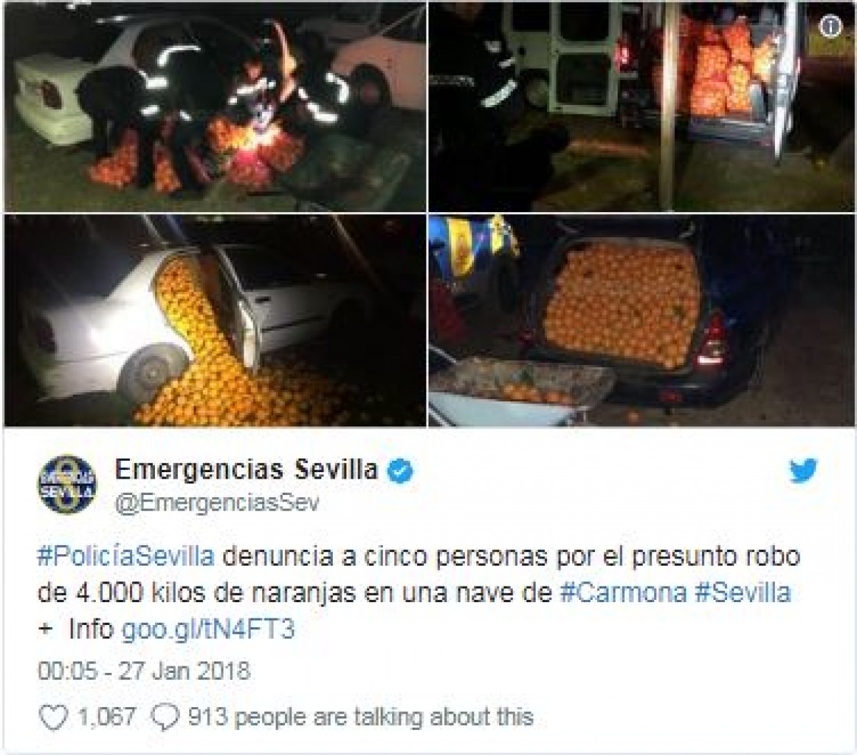 ちょっと尋常じゃない量のオレンジ、車の中から発見　スペインで盗難