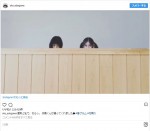 左から杉咲花、今田美桜　※『花のち晴れ～花男 Next Season～』公式インスタグラム