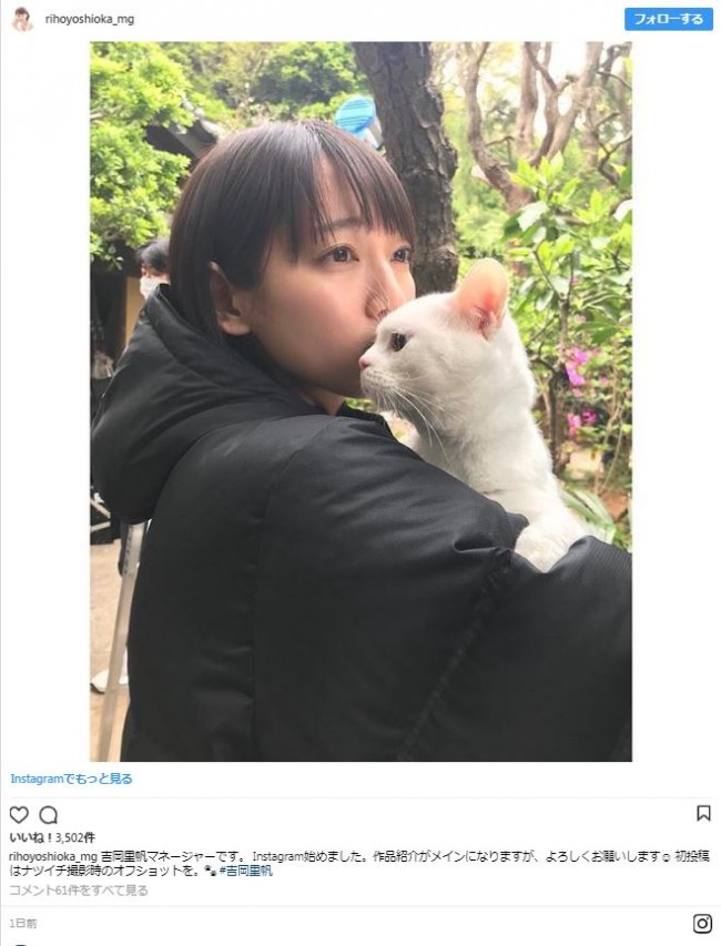 猫と2ショット、かわいすぎる　※「吉岡里帆MG」インスタグラム