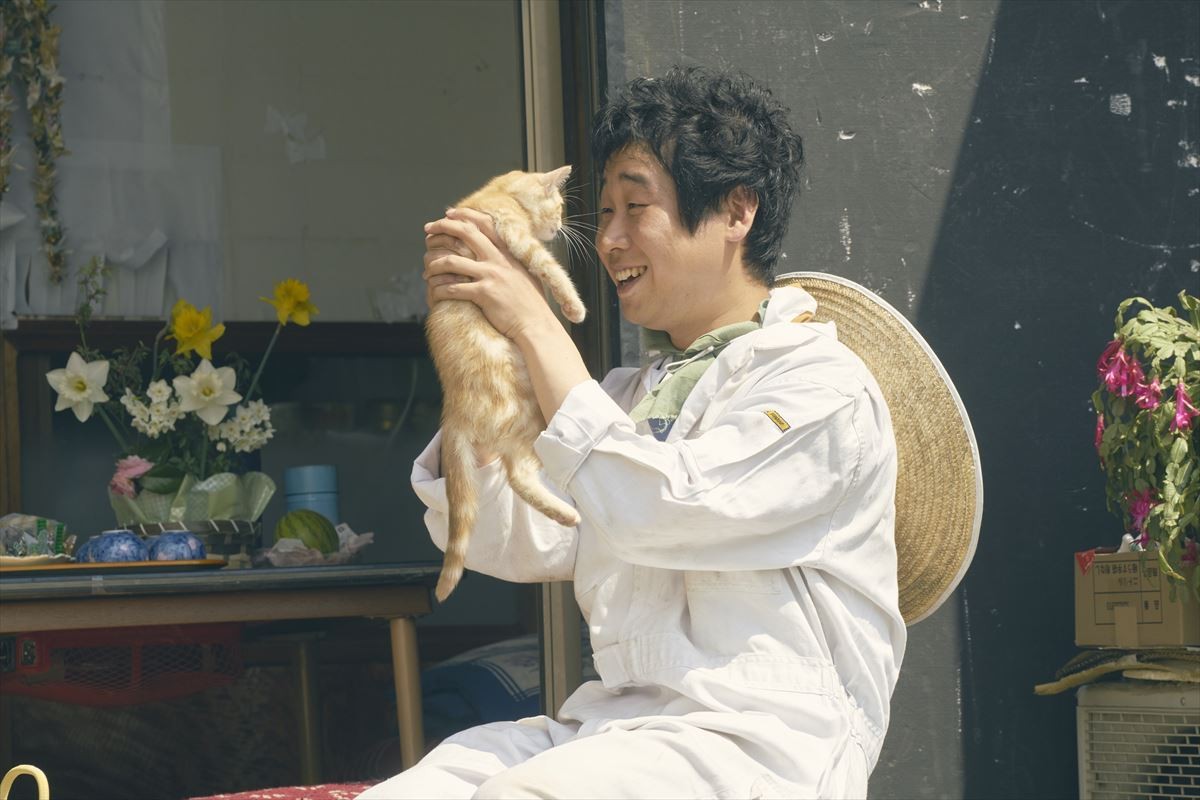『旅猫リポート』新カット＆猫欲を満たす癒やし“猫映画”を紹介