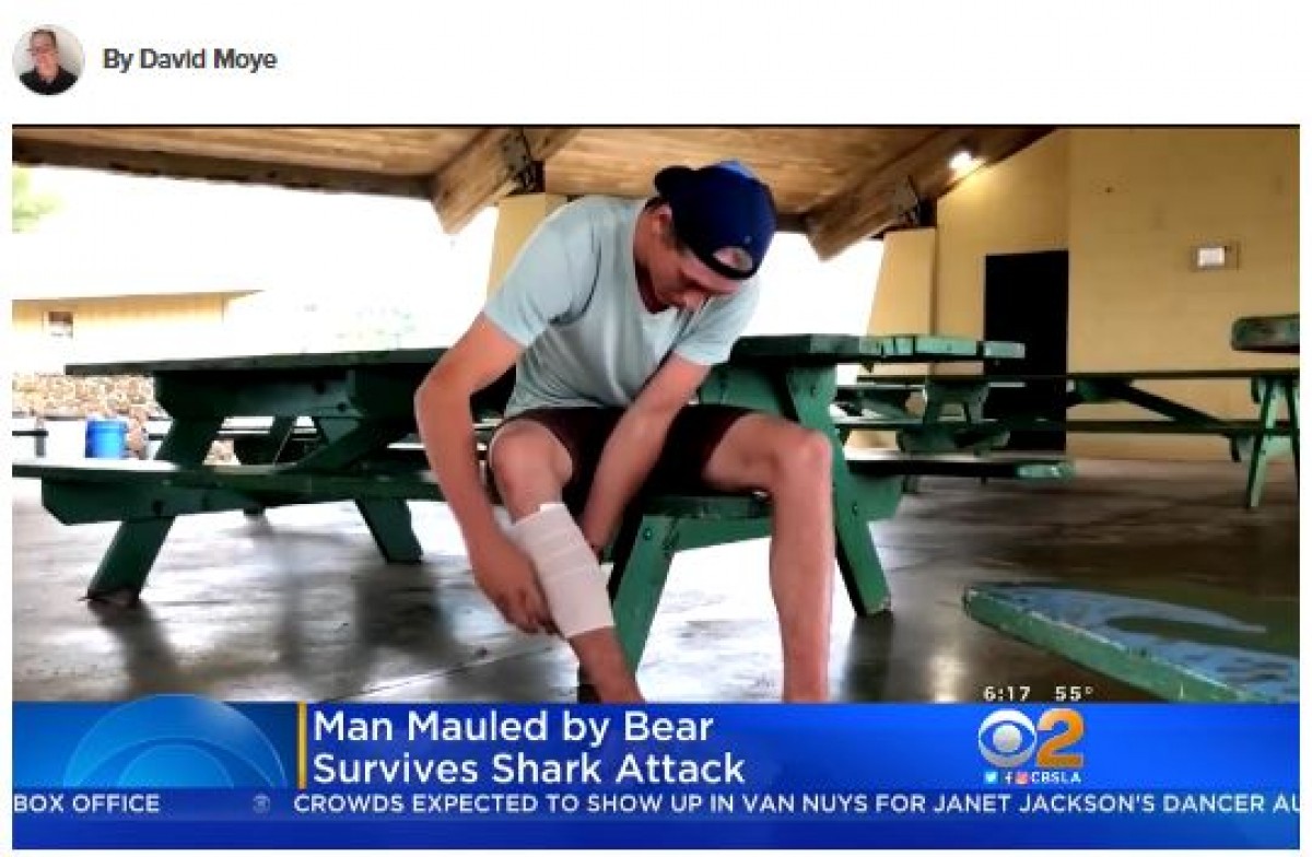 サメとクマに襲われた男性が思いを語る　※海外メディア「Huffington Post」のスクリーンショット