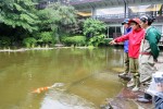 テレビ東京『緊急SOS！池の水ぜんぶ抜く大作戦』より