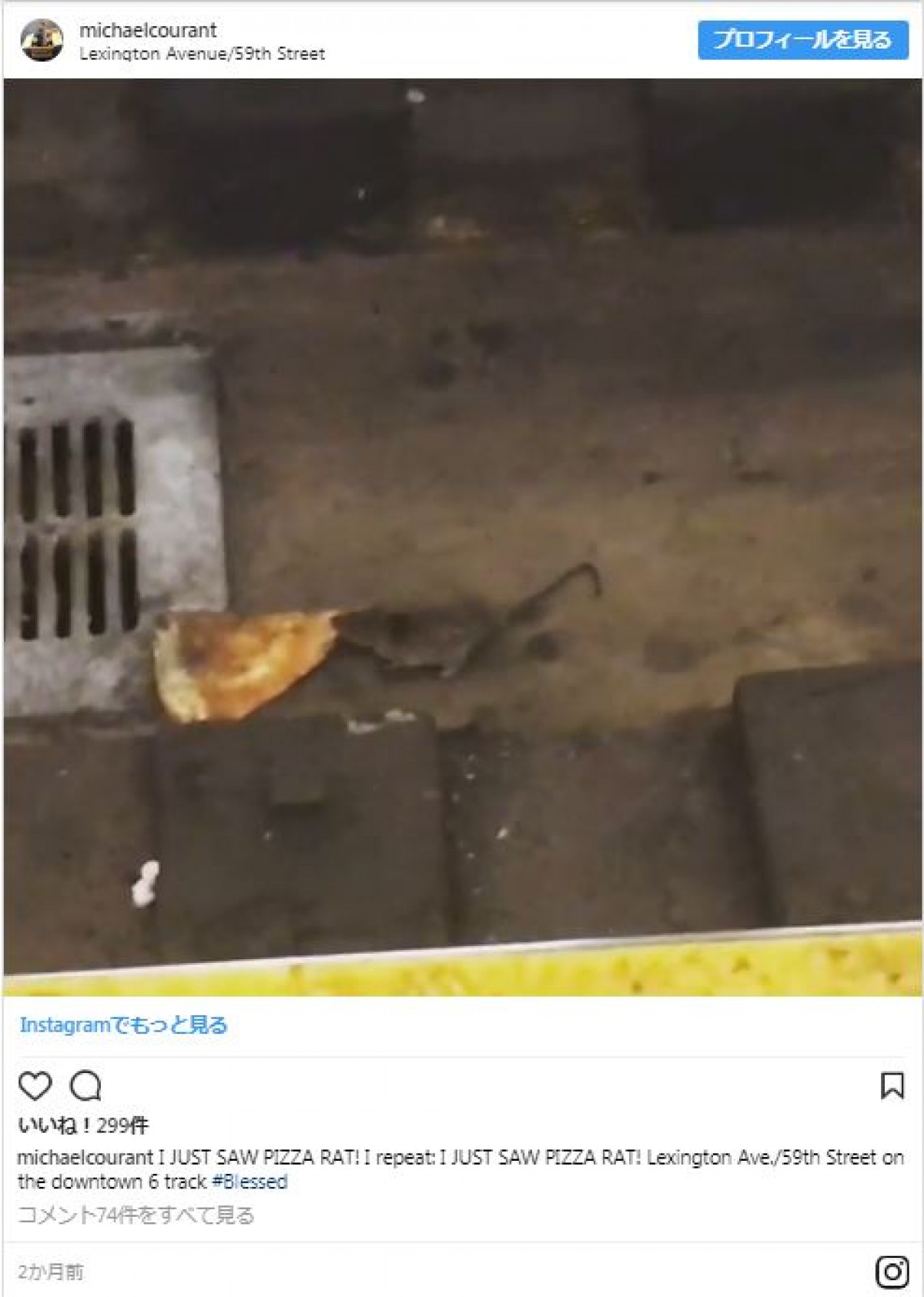 帰って来た？地下鉄のピザ好きねずみ ニューヨーク