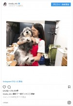 ※「今田美桜」インスタグラム