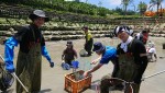 「緊急SOS！池の水ぜんぶ抜く大作戦」より