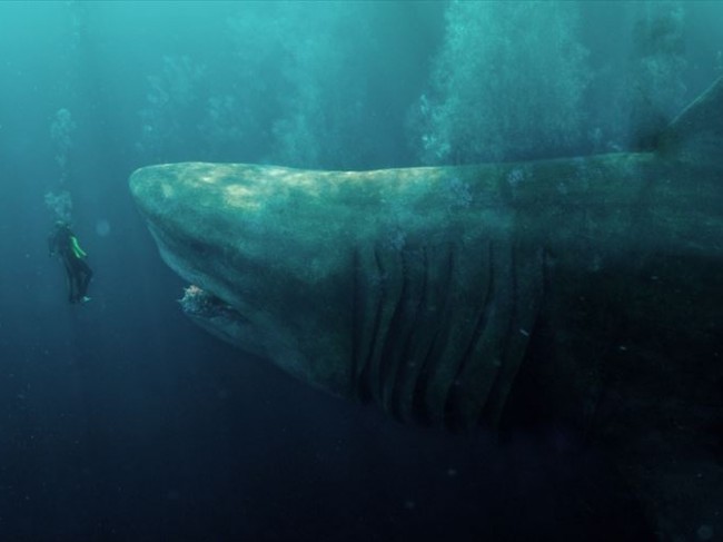 予想外すぎる進化に驚愕 今 サメ映画に何が起こっているのか 18年7月26日 映画 コラム クランクイン