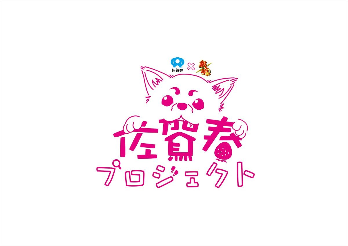 『銀魂』×佐賀県コラボ「佐賀春プロジェクト」始動　坂田Pが奮闘
