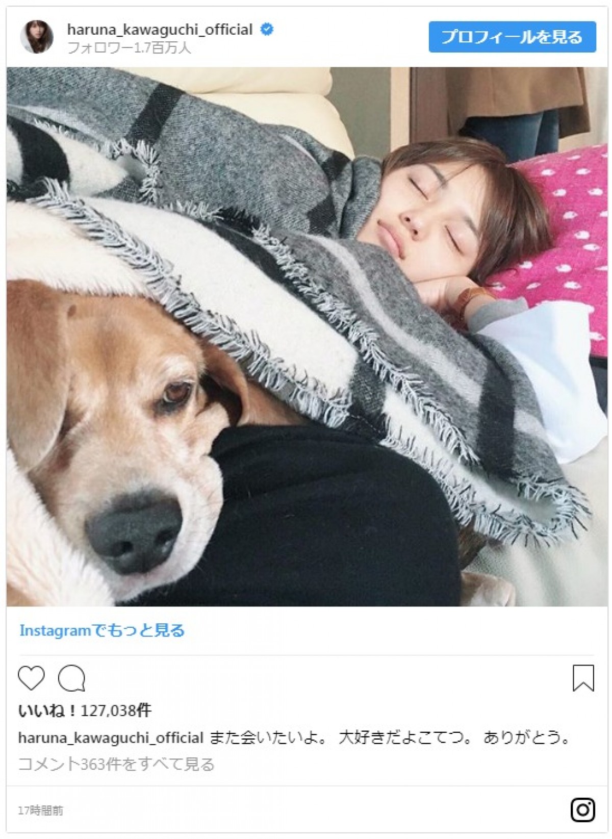 川口春奈が“寝顔”を公開　添い寝する犬にファンから「なりたい」の声