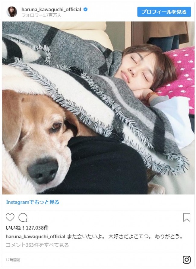 川口春奈が 寝顔 を公開 添い寝する犬にファンから なりたい の声 18年8月27日 写真 エンタメ ニュース クランクイン