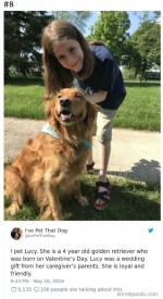 【写真】相乗効果でかわいさ倍増！“なでた犬”を紹介する少年のツイートが人気