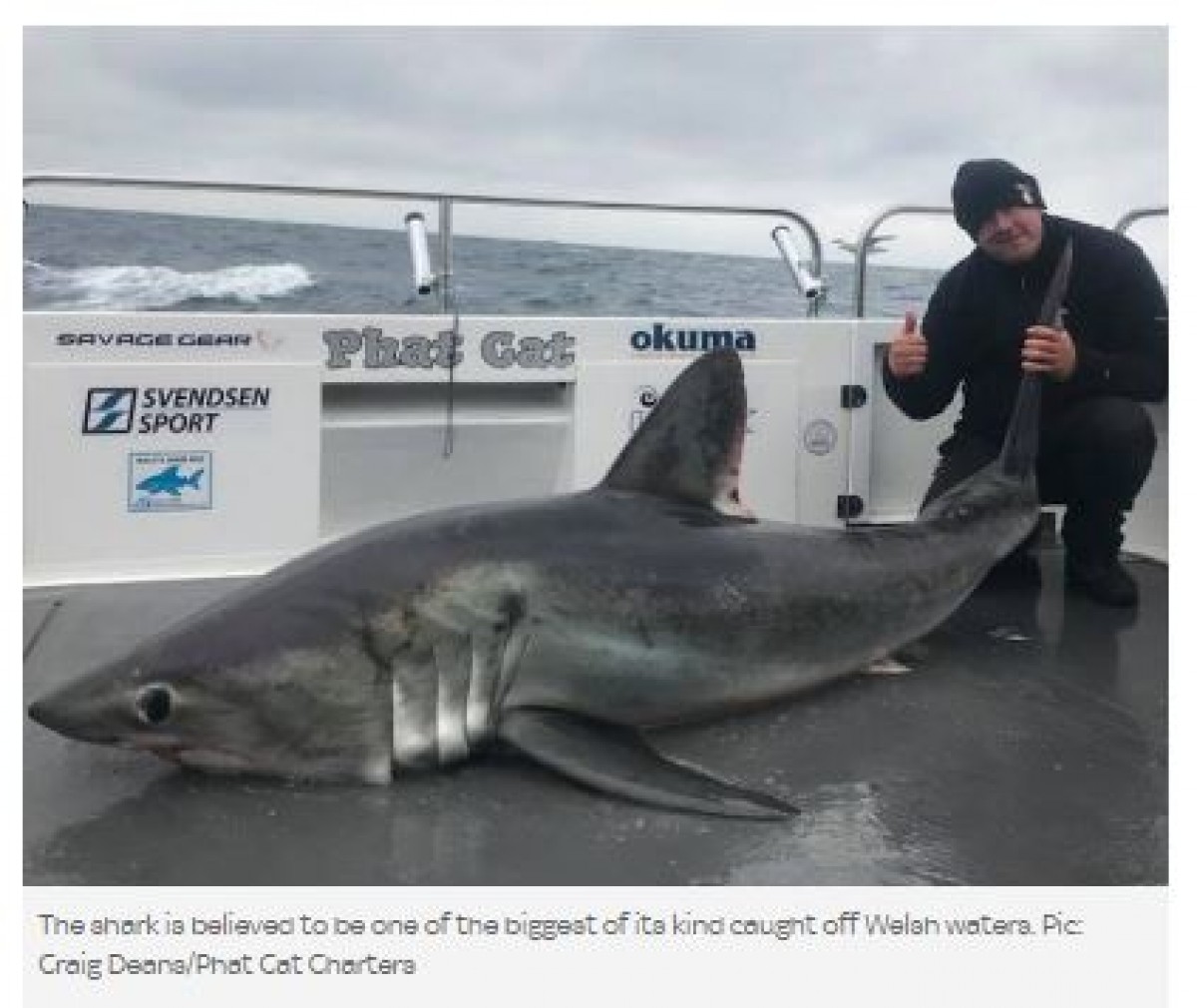 まさかのキャッチ＆リリース！ 2m43cm、146kgの巨大サメを捕獲 イギリス