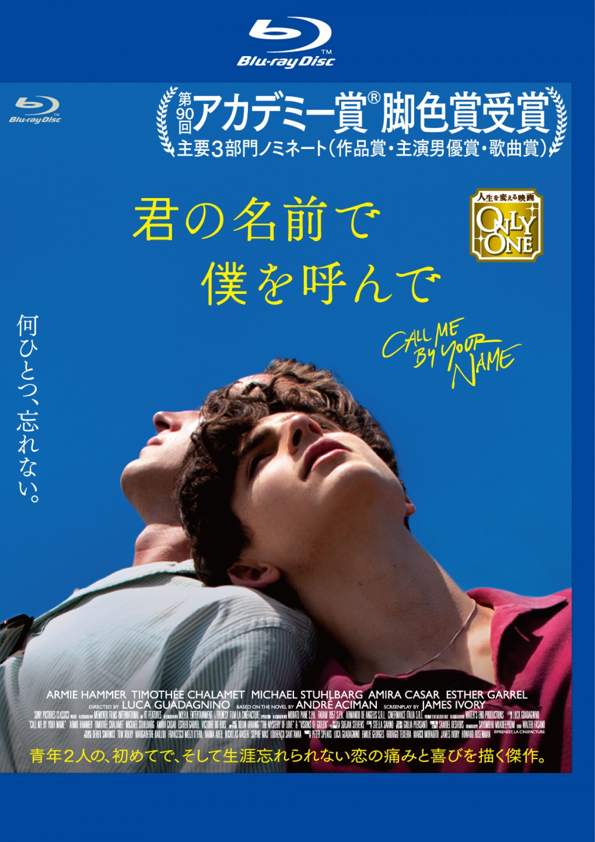 ティモシー・シャラメ、『君の名前で僕を呼んで』アドリブ＆キスシーンの裏側を赤裸々告白