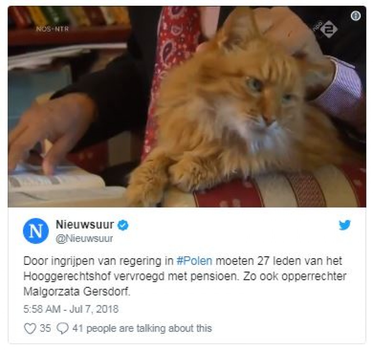 ニュース番組で大真面目な政治インタビュー中、飼い猫が博士の頭に！