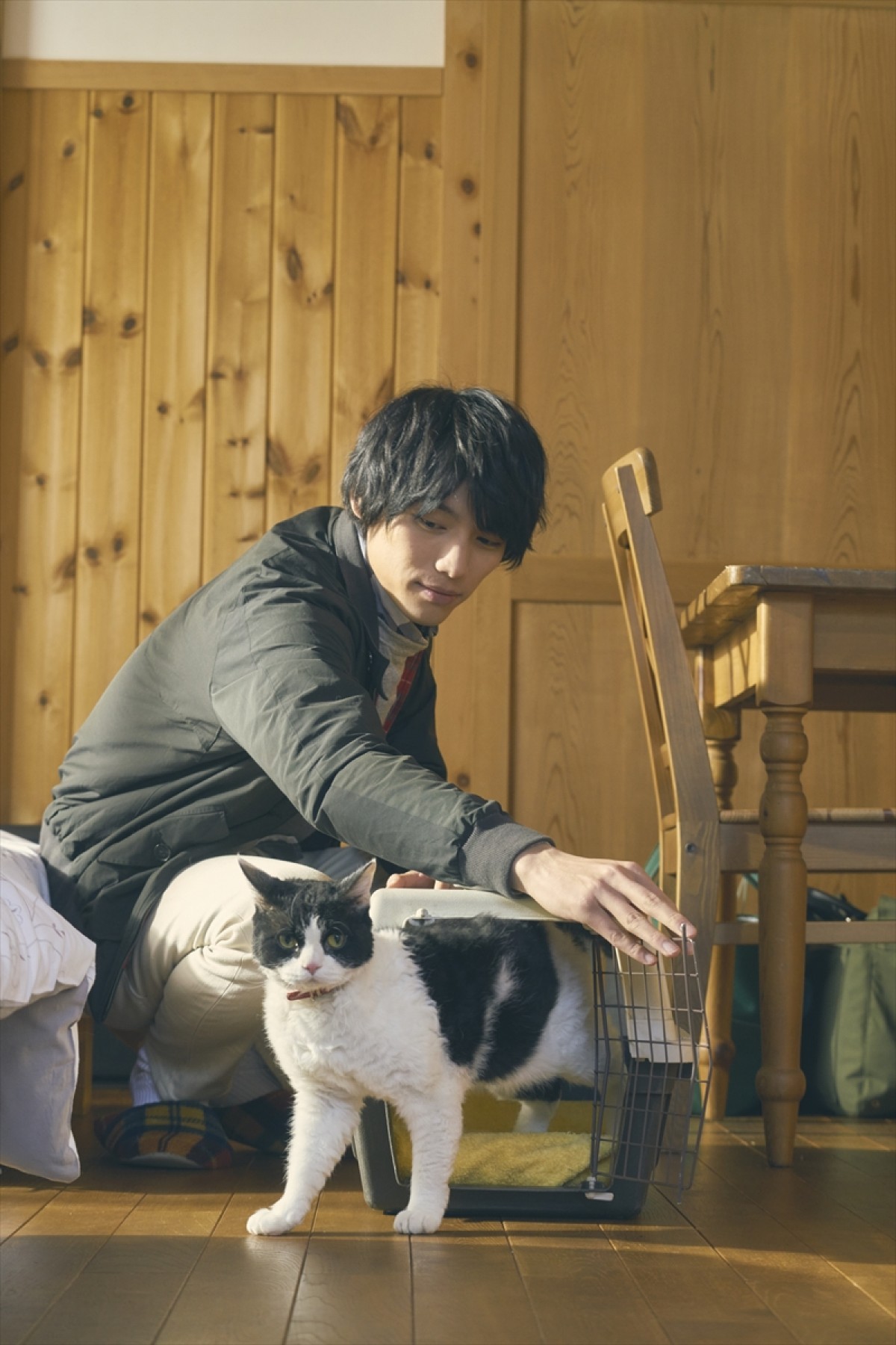 『旅猫リポート』新カット＆猫欲を満たす癒やし“猫映画”を紹介
