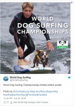【写真】1匹で、飼い主と、仲間の犬と…サーフィンする犬たちの妙技