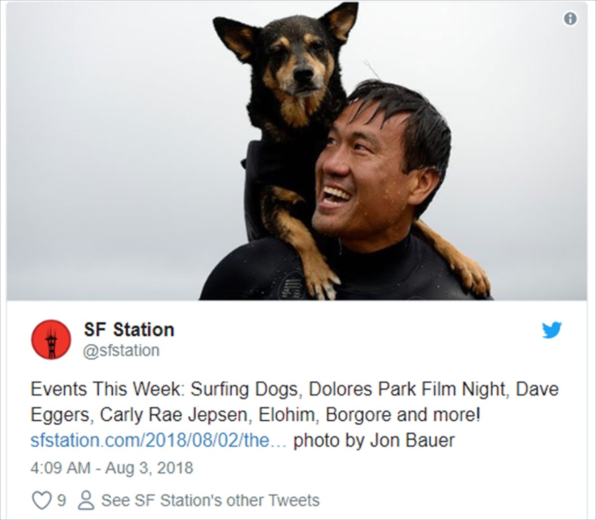 かわいい！ かっこいい！ 犬のサーフィン世界選手権開催　アメリカ