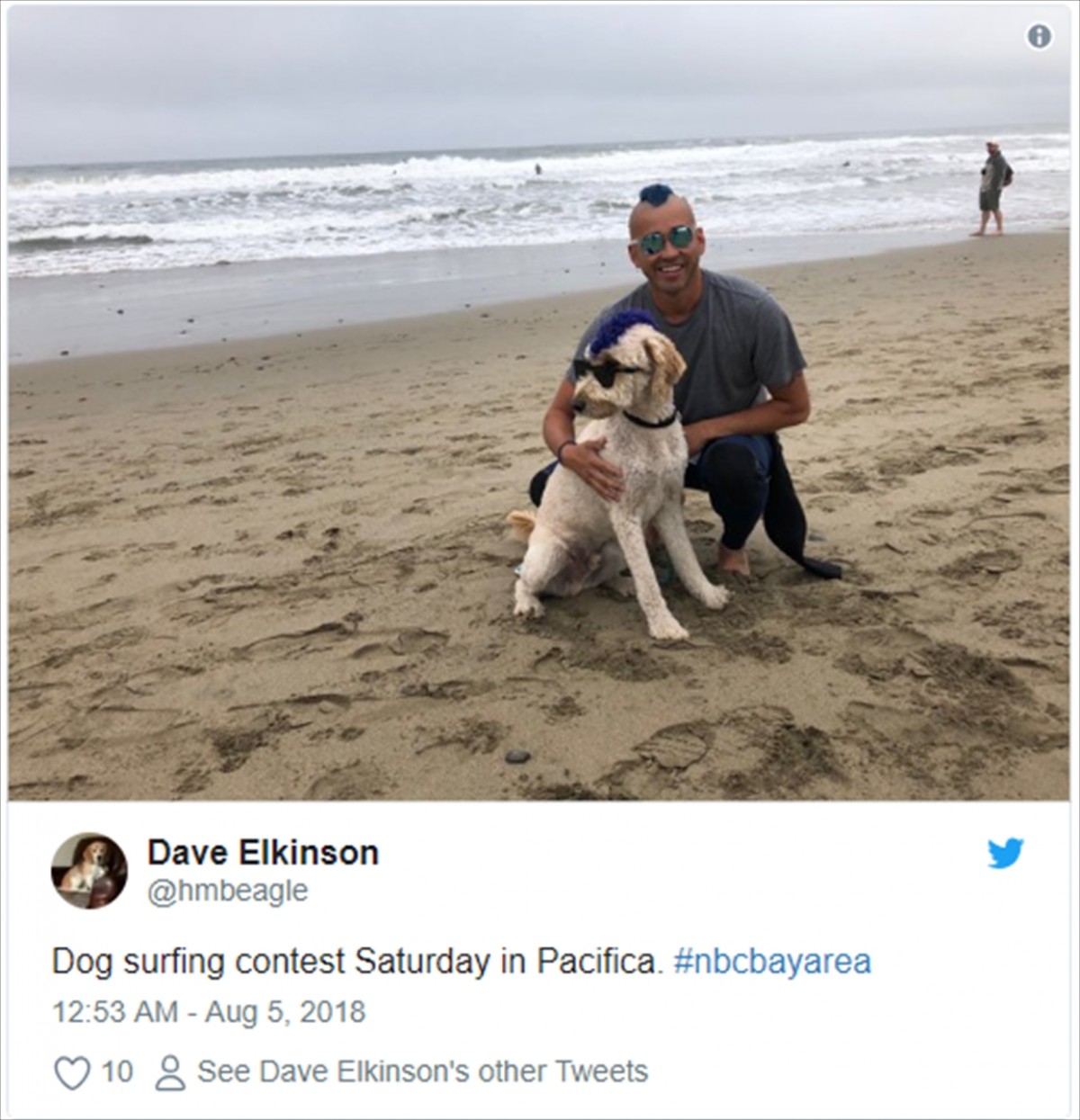 かわいい！ かっこいい！ 犬のサーフィン世界選手権開催　アメリカ