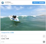 ※海外メディア「HUFFPOST」のスクリーンショット