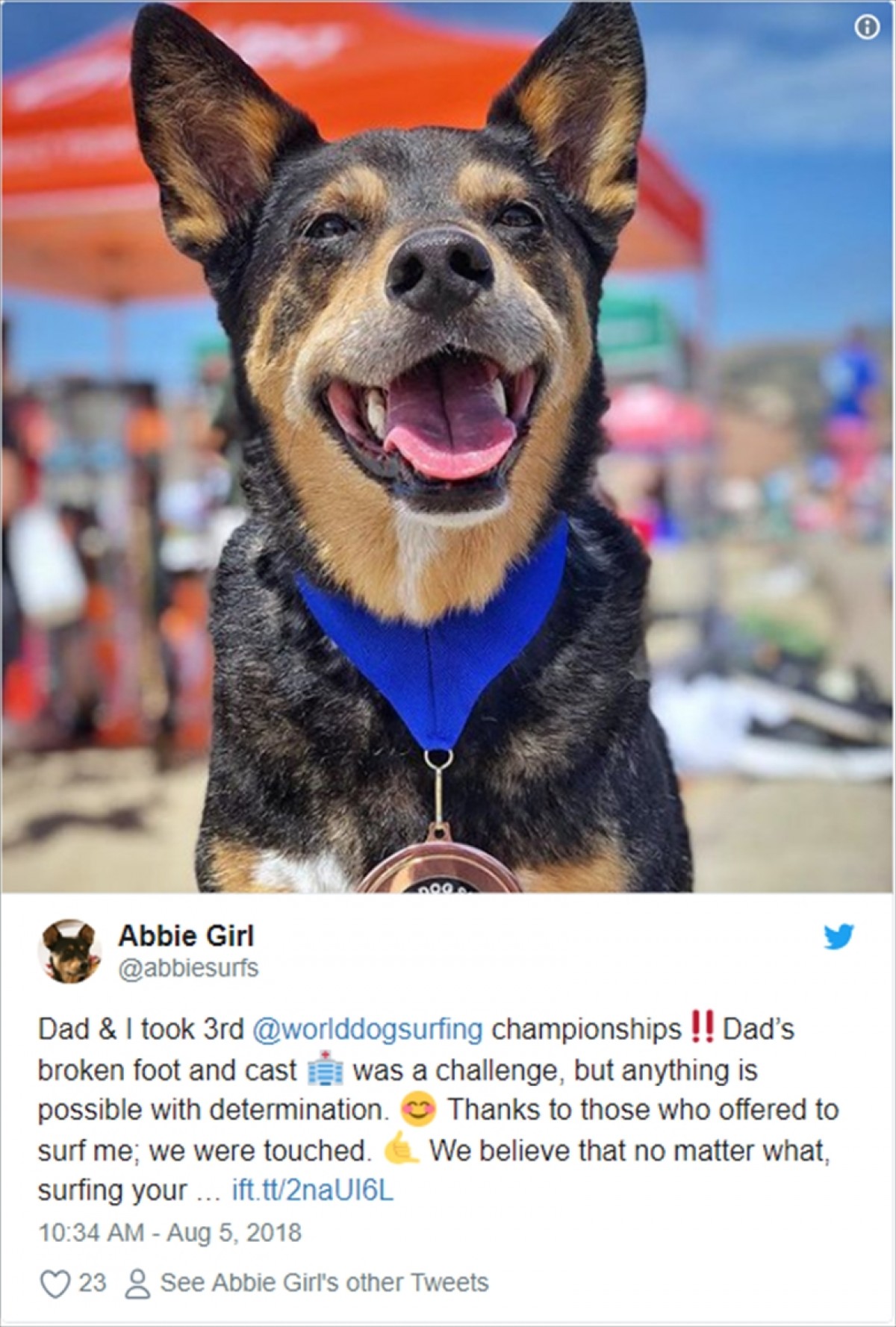 かわいい！ かっこいい！ 犬のサーフィン世界選手権開催　アメリカ