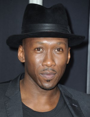 マハーシャラ・アリ