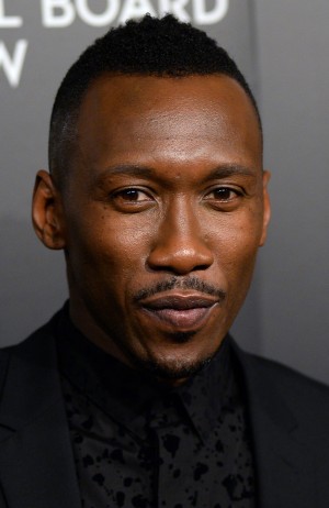 マハーシャラ・アリ