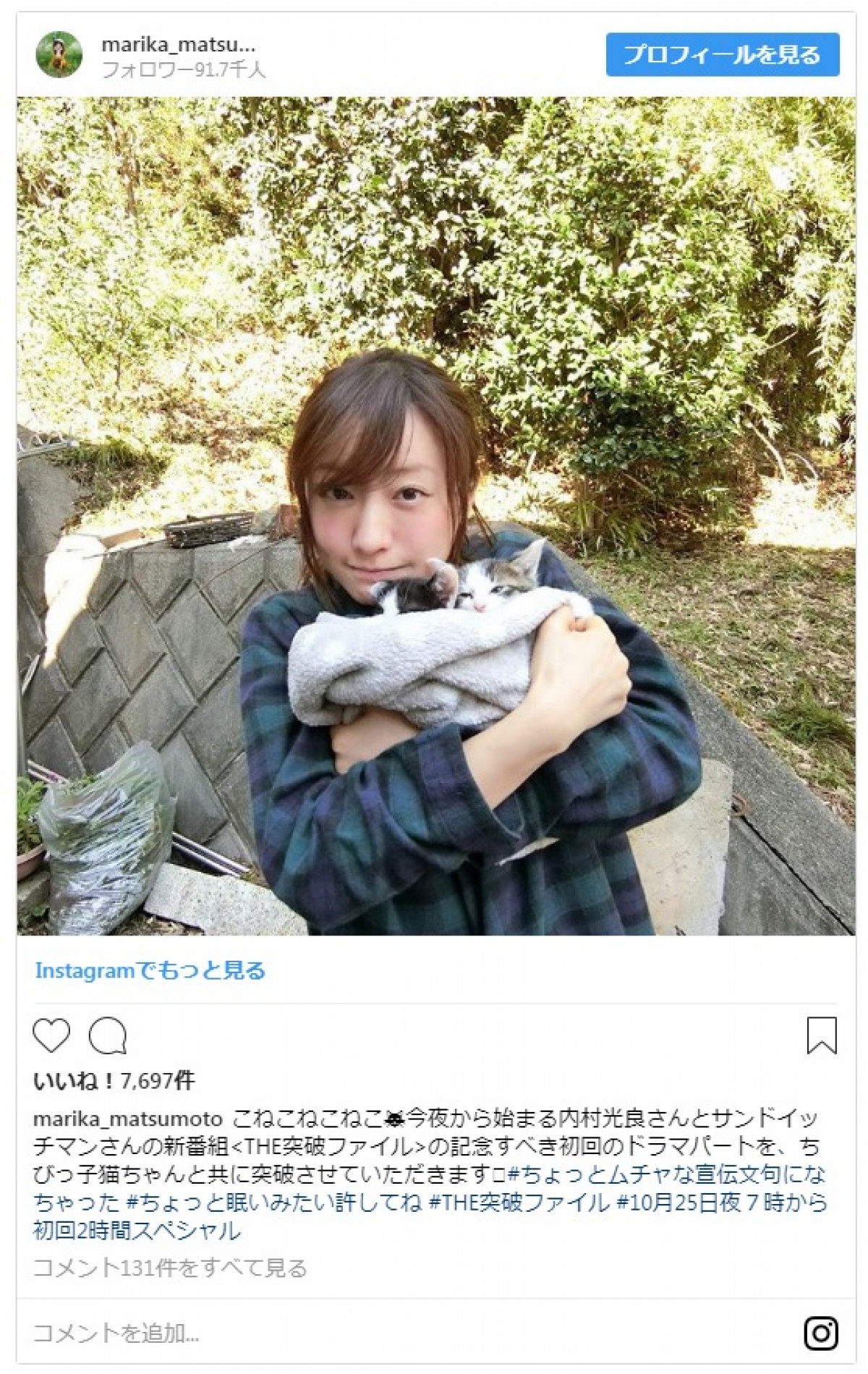 松本まりか、子猫を抱っこする姿にファン「猫に負けないかわいさ」