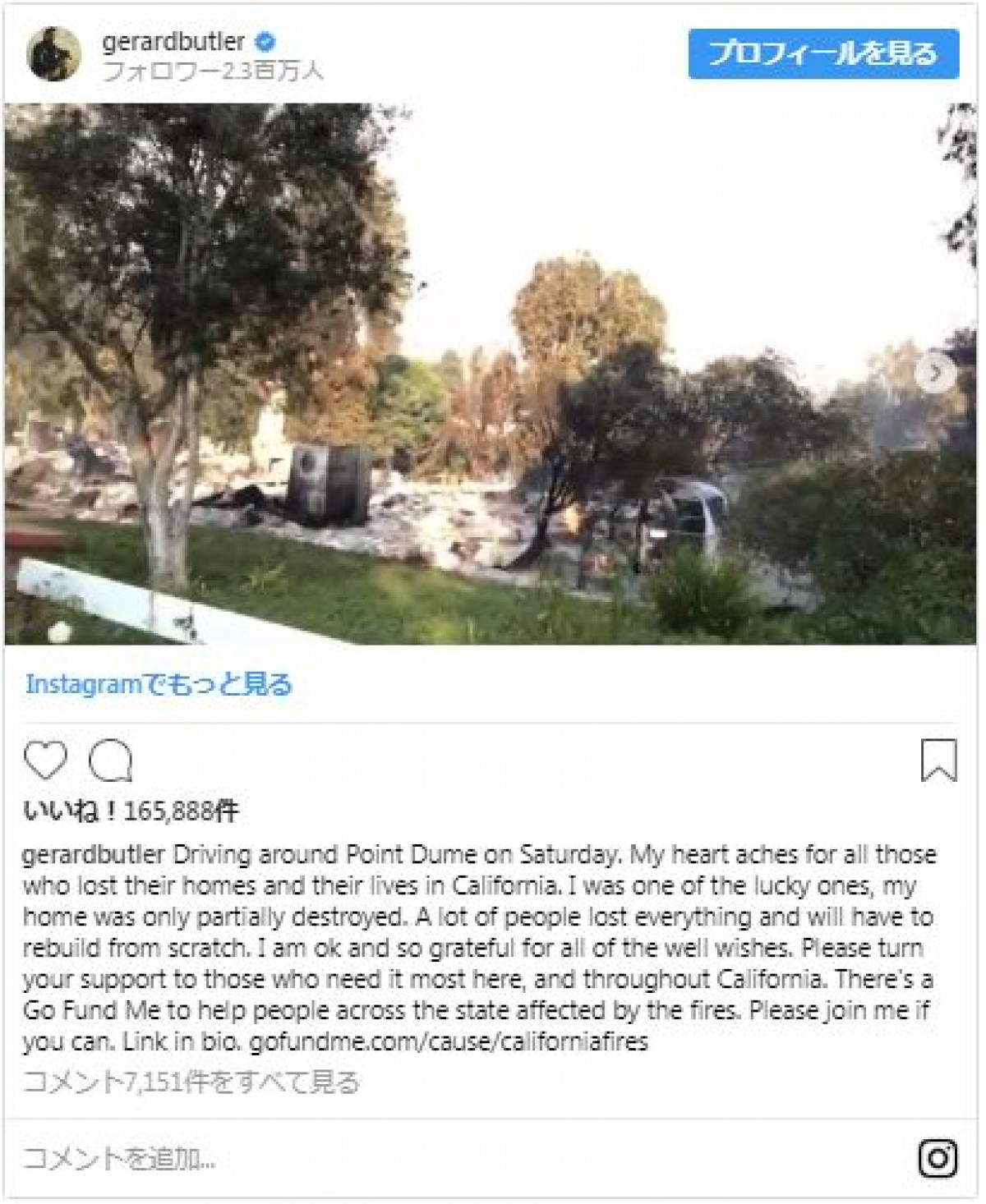マイリー・サイラス、山火事で家が全焼「動物と生涯最愛の人は無事」で感謝