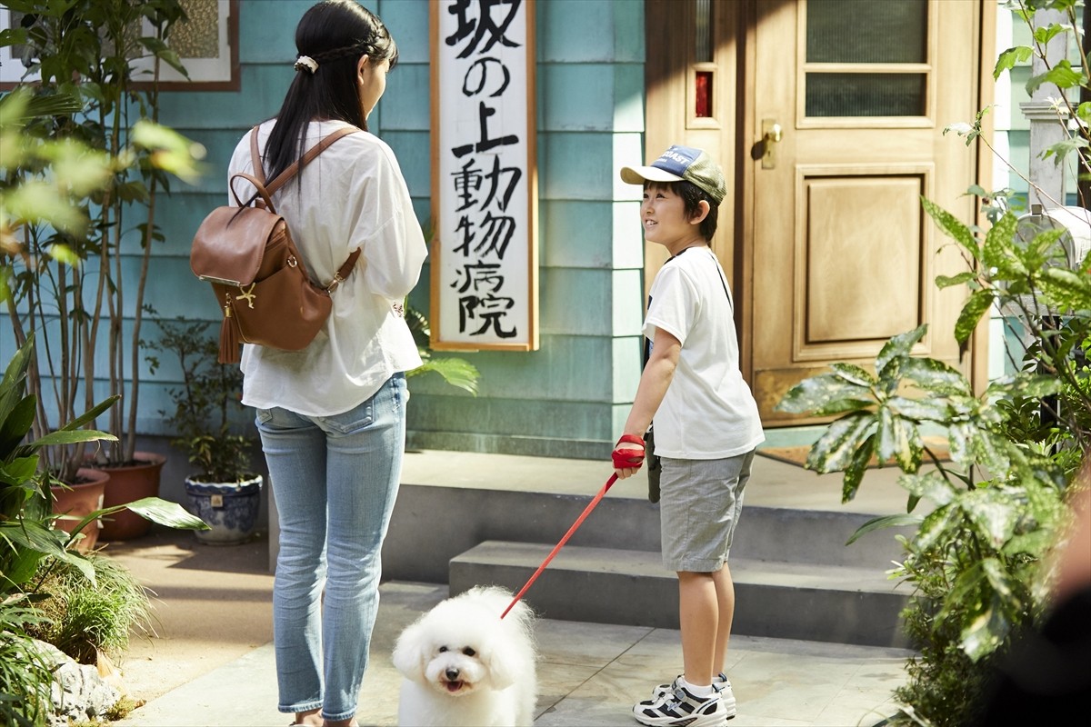 今夜『僕とシッポと神楽坂』保護したチワワを連れて香子は達也の元へ