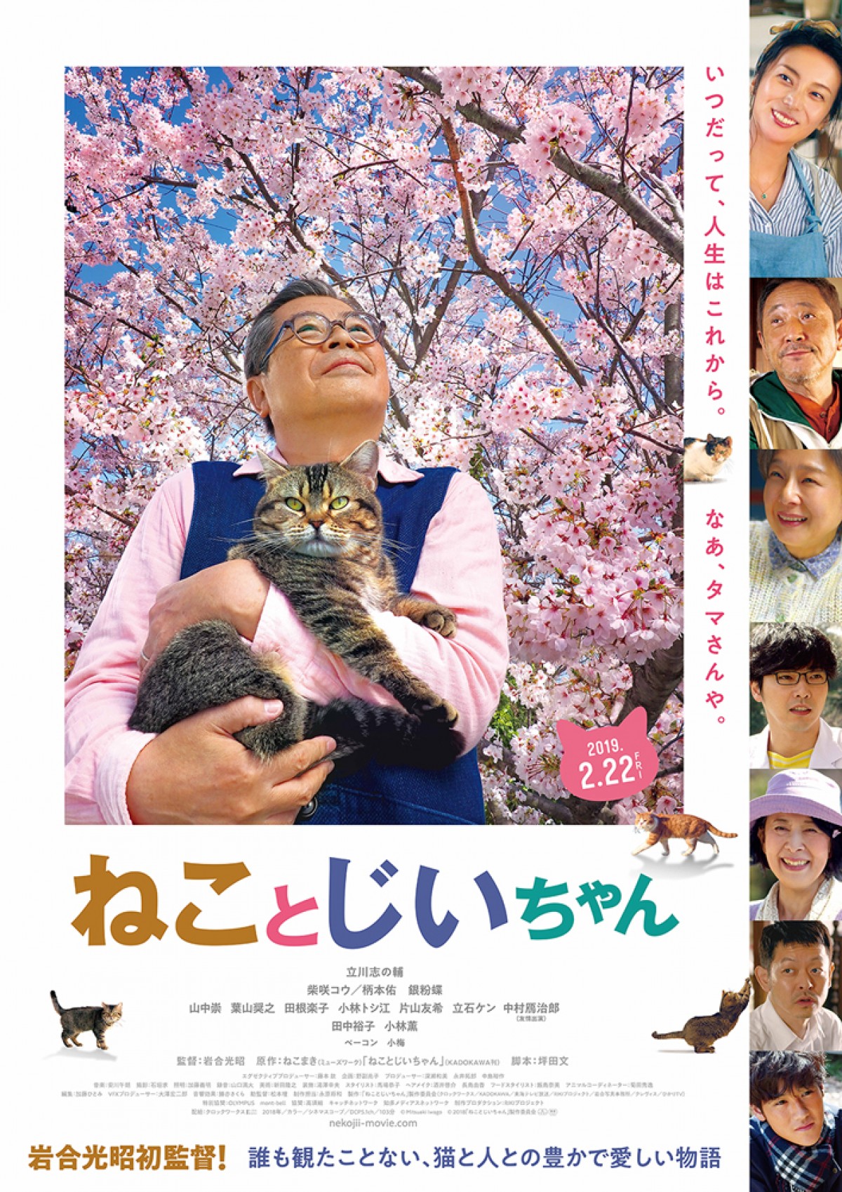 柴咲コウ、猫との生活は「苦労でもあり幸せ」 あふれる猫愛を明かす