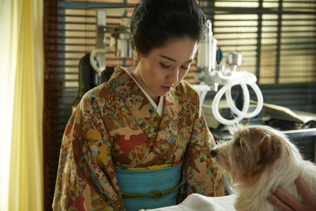 今夜『僕とシッポと神楽坂』、達也はトキワを意識し始め… ／2018年11月23日 写真 エンタメ