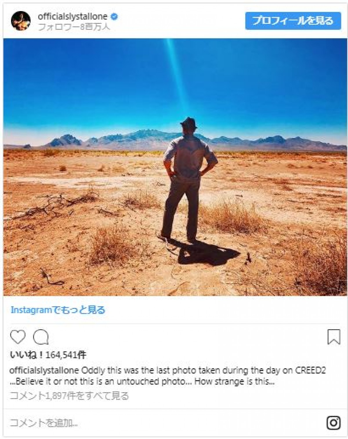 シルヴェスター・スタローン、『クリード2』でロッキー役にさよならか