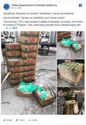 政府機関に寄付されたバナナの箱の中に、20億円相当のコカインが！