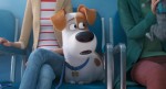 【動画】『ペット』最新作　日本版オリジナル特報映像