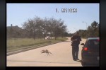 ドライブレコーダーが撮影した「モンスター級巨大クモ！？」（※facebook「City of Fulshear」のスクリーンショット）