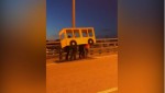 バスのコスプレをする歩行者（※yotube「Russians dress up as a bus to cross vehicle-only bridge」のスクリーンショット）