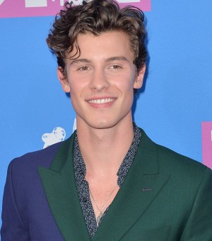 2019年に新成人となる、ショーン・メンデス
