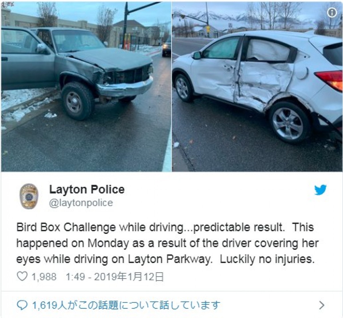 「バード・ボックス」チャレンジで起こった衝突事故　※「Layton Police」ツイッター