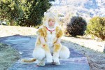 映画『トラさん～僕が猫になったワケ～』場面写真